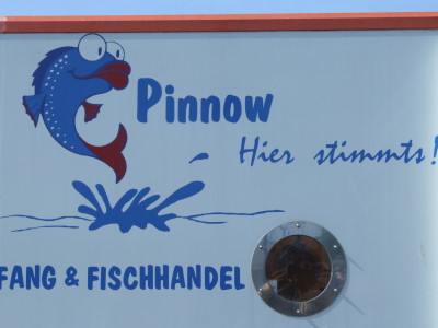 Pinnow-Fisch
